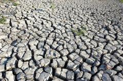 Environmental Destruction